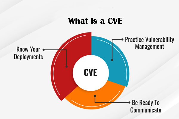 What is a CVE?